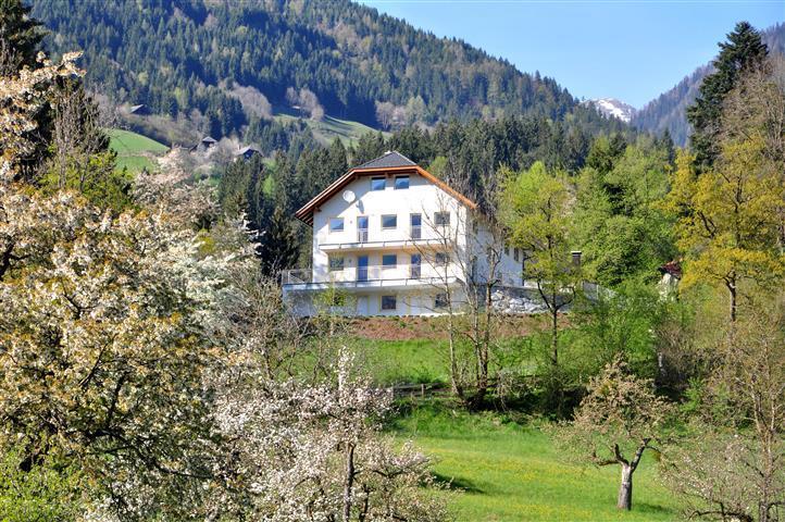 Haus Pflaum Apartment Dellach im Drautal Bagian luar foto
